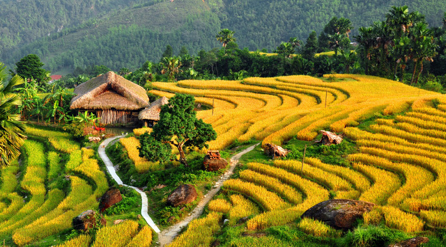 Du lịch Việt Nam vượt khó khi khách quốc tế giảm 80% - Ảnh 2.