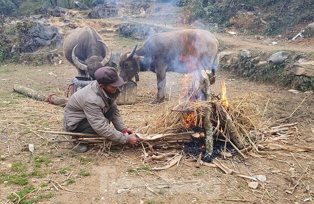  Hà Giang rét tê tái, người dân nổi lửa sưởi ấm cho gia súc  - Ảnh 10.