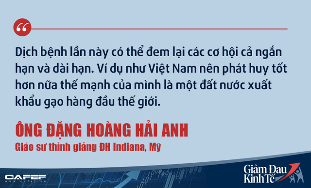  Kinh tế gia người Việt tại Mỹ: Việt Nam không nên kích cầu như các nước giàu!  - Ảnh 8.