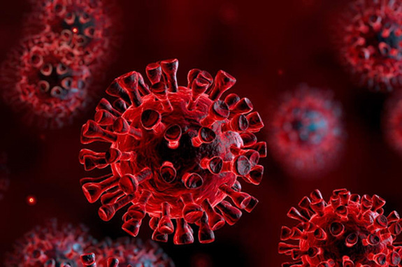  Từ 2% tăng lên 6%, tỷ lệ tử vong do SARS-CoV-2 có phải do virus đã biến đổi? - Ảnh 1.