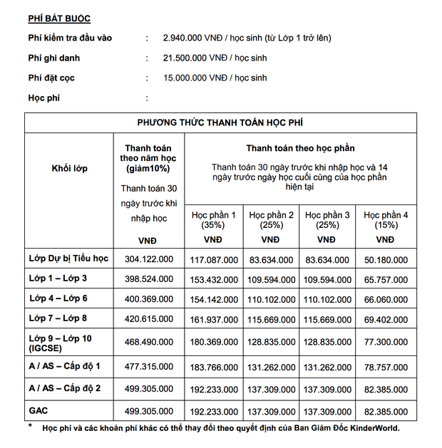 Shock với mức học phí của các trường Quốc tế tại TP.HCM, có nơi lên đến gần 800 triệu/năm - Ảnh 7.