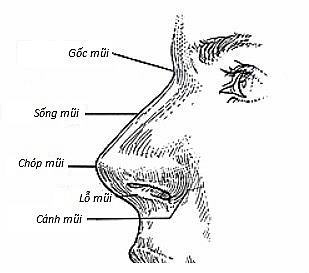 Đặc điểm nhân tướng của những người chỉ có thể giàu có, vinh hiển sau tuổi 40  - Ảnh 3.