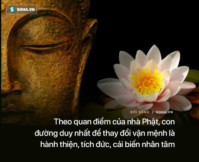  Phần đời còn lại nếu muốn tích phúc, tụ tài, nhất định phải nhớ 2 việc này!  - Ảnh 3.