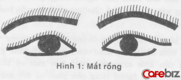 10 tướng mắt đại phú đại quý, càng có tuổi càng có thế lực, cả đời may mắn an nhàn - Ảnh 1. 10 tướng mắt đại phú đại quý, càng có tuổi càng có thế lực, cả đời may mắn an nhàn - Ảnh 1.