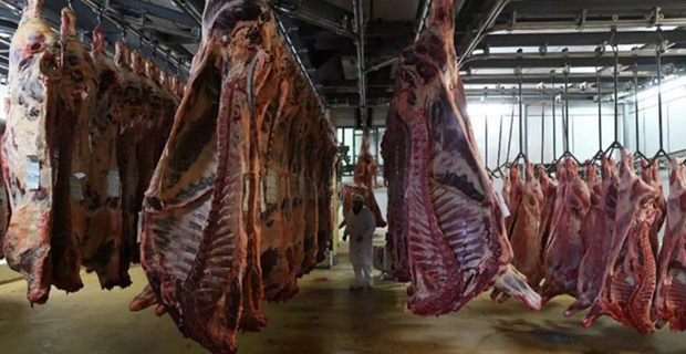Phát hiện hàng trăm ca nhiễm COVID-19 tại các cơ sở chế biến thịt ở châu Âu - Ảnh 1.