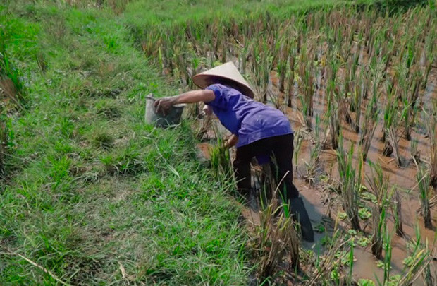 Bà Tân và Hưng Vlog từ một kênh nổi tiếng với những món siêu to khổng lồ ngày càng sa sút, có khi thành nơi hứng gạch đá đủ để... xây nhà - Ảnh 3.