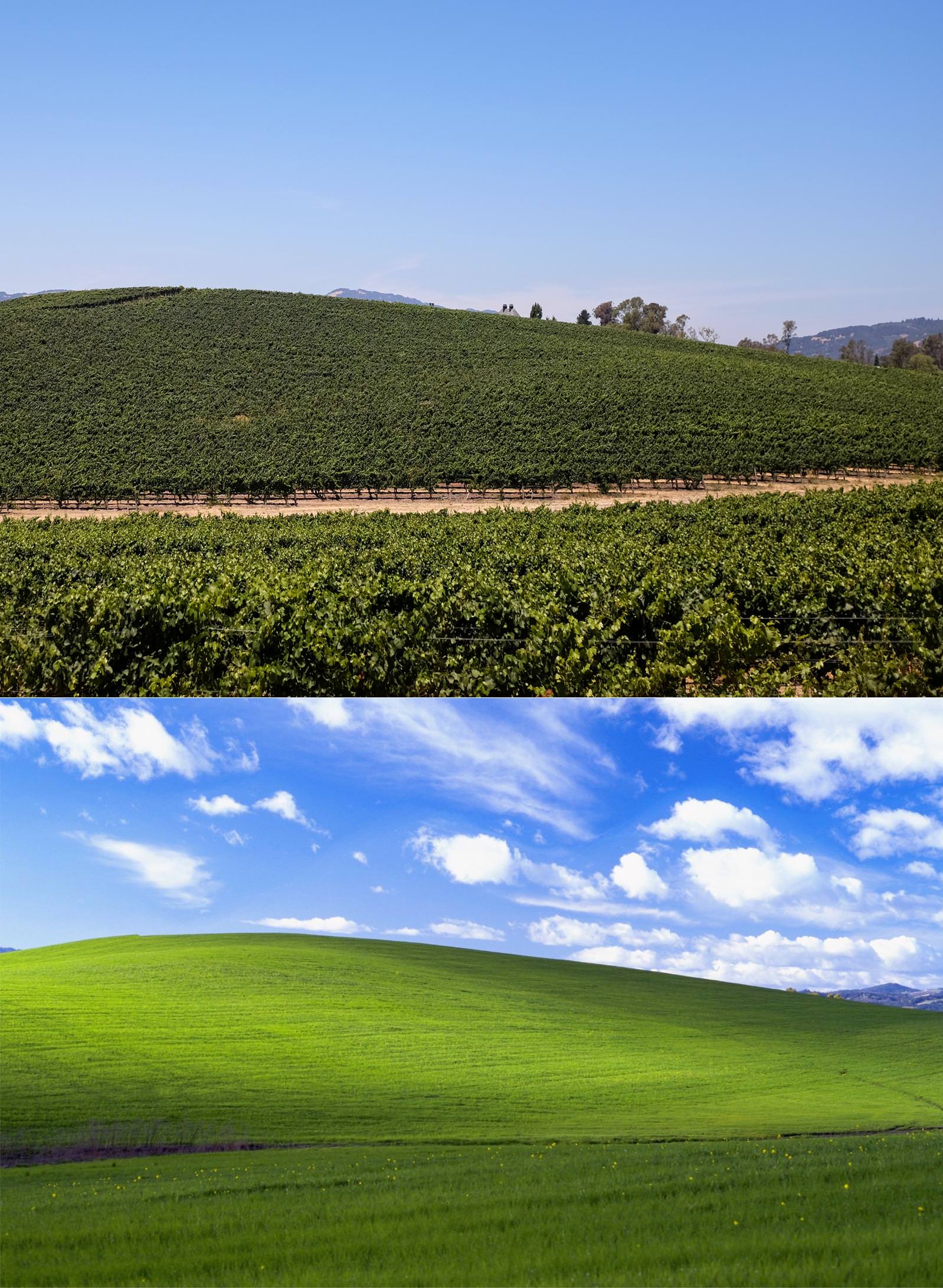 4CYCLISTS version of iconic Windows XP wallpaper