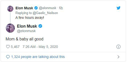  Elon Musk vừa làm cha lần thứ 6 - Ảnh 1.
