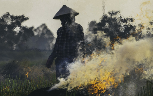 Người dân Hà Nội đốt rơm rạ khói bay mù mịt giữa cái nóng gần 40 độ, khiến không khí ngày càng ô nhiễm - Ảnh 2.