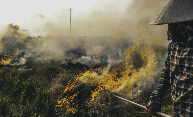 Người dân Hà Nội đốt rơm rạ khói bay mù mịt giữa cái nóng gần 40 độ, khiến không khí ngày càng ô nhiễm - Ảnh 6.