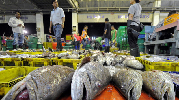 Vụ lừa đảo rúng động Thái Lan: Lừa khách mua phiếu giảm giá ăn hải sản rồi bùng, chủ nhà hàng lĩnh 1.446 năm tù, nộp phạt 1,3 tỷ đồng - Ảnh 1.