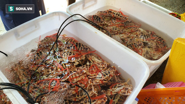 Chen chân mua hải sản giảm sốc 50%, tôm hùm 640.000 đồng/kg, ghẹ xanh 500.000 đồng/kg  - Ảnh 4.