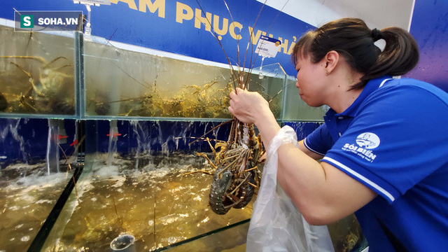 Chen chân mua hải sản giảm sốc 50%, tôm hùm 640.000 đồng/kg, ghẹ xanh 500.000 đồng/kg  - Ảnh 6.