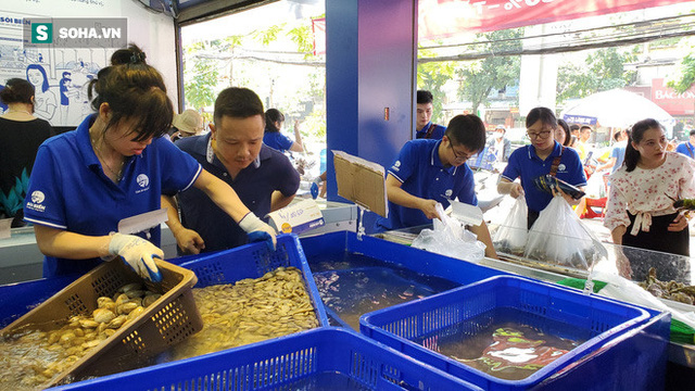 Chen chân mua hải sản giảm sốc 50%, tôm hùm 640.000 đồng/kg, ghẹ xanh 500.000 đồng/kg  - Ảnh 8.