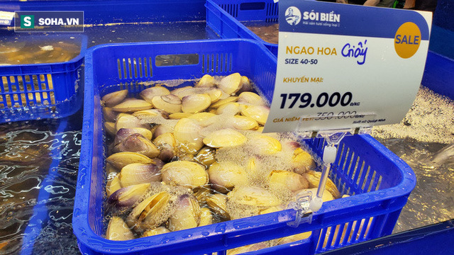 Chen chân mua hải sản giảm sốc 50%, tôm hùm 640.000 đồng/kg, ghẹ xanh 500.000 đồng/kg  - Ảnh 10.