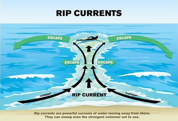 Cảnh báo về mối nguy hiểm mới xuất hiện ở các bãi biển Việt Nam có thể gây hại đến tính mạng của du khách mùa hè này: Không thể coi nhẹ! - Ảnh 4. Cảnh báo về mối nguy hiểm mới xuất hiện ở các bãi biển Việt Nam có thể gây hại đến tính mạng của du khách mùa hè này: Không thể coi nhẹ! - Ảnh 4.