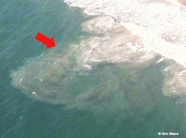 Cảnh báo về mối nguy hiểm mới xuất hiện ở các bãi biển Việt Nam có thể gây hại đến tính mạng của du khách mùa hè này: Không thể coi nhẹ! - Ảnh 5. Cảnh báo về mối nguy hiểm mới xuất hiện ở các bãi biển Việt Nam có thể gây hại đến tính mạng của du khách mùa hè này: Không thể coi nhẹ! - Ảnh 5.