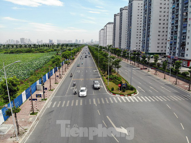  Hàng loạt cây xanh chết khô trên đường nghìn tỷ ở Hà Nội  - Ảnh 1.