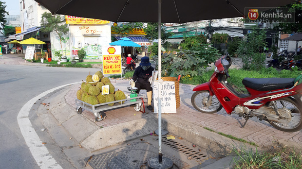 Sầu riêng bao ăn chất đống khắp vỉa hè Sài Gòn với giá siêu rẻ chỉ 50.000 đồng/kg: Gặp hạn mặn nên bán được đồng nào hay đồng đó! - Ảnh 1.