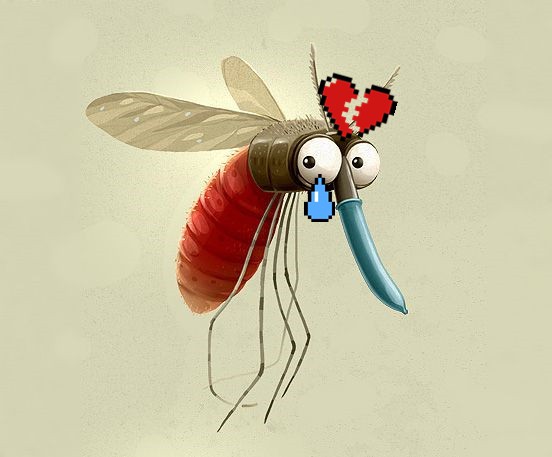 Mỹ chống muỗi bằng cách thả 750 triệu con muỗi ra môi trường - Ảnh 2.