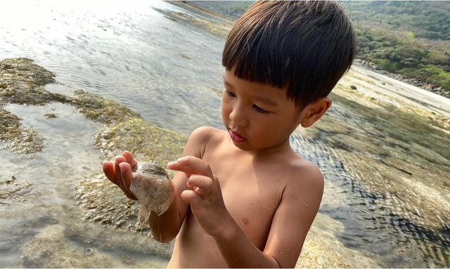  Ông bố Hà Nội bỏ việc vì nghiện con: Cùng con “đi đu đưa” từ 6 tháng tuổi, 3 tuổi đã “thả” con đi khám phá đảo hoang, cứu hộ rùa  - Ảnh 9.