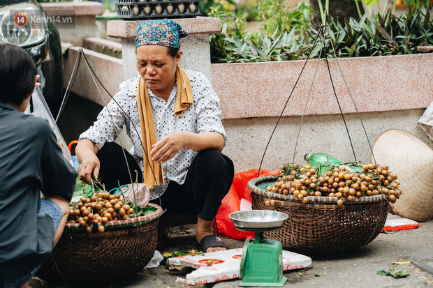 Ảnh: Người Hà Nội dậy sớm, tất bật đi chợ Tết Đoan Ngọ giết sâu bọ - Ảnh 8.