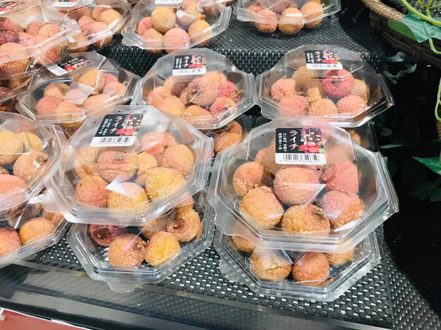  Vải thiều Việt Nam được đóng hộp như tổ yến khi bán tại Nhật, 650k chỉ mua được 1 hộp 12 quả  - Ảnh 3.