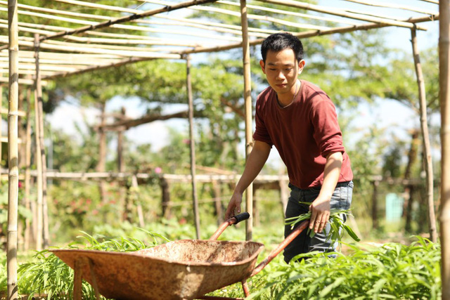  Bỏ Đại học Bách Khoa từ năm thứ 3, cựu giám đốc Cầu Đất Farm lập sàn TMĐT bán nông sản trên Tiki, Lazada và tương lai là Amazon  - Ảnh 1.