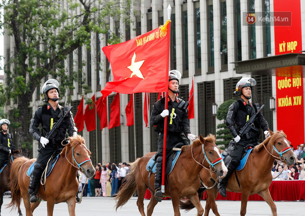 Profile siêu xịn của ngựa được đội Kỵ binh cảnh sát cơ động Việt Nam sử dụng: Là ngựa nòi Mông Cổ, thuộc một trong những giống đỉnh nhất thế giới - Ảnh 1.