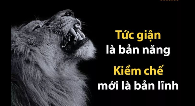  Người ưu tú rèn luyện tính cách ôn hòa như nước: Vượt qua 3 điều này bạn có thể tạo nên đẳng cấp khác biệt mà kẻ thất bại chẳng bao giờ có thể tìm thấy  - Ảnh 2.