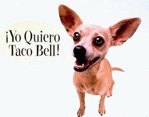 Chiến dịch quảng cáo khiến CEO của Taco Bell bị sa thải: Marketing tốt là giúp thương hiệu kiếm được tiền - Ảnh 1.