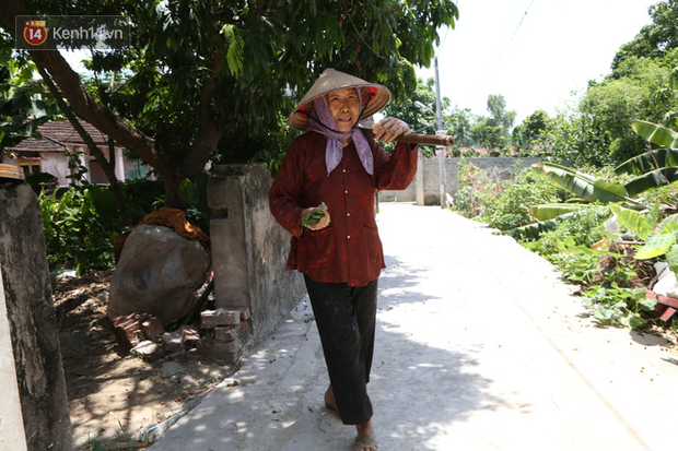 Cụ bà gần 90 tuổi ở Hà Nội hàng ngày đi cấy, đan lưới làm thú vui tao nhã: “Các cháu chưa chắc đã khoẻ bằng tôi” - Ảnh 1.