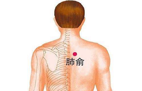  Người có 3 bộ phận này càng sạch thì càng sống thọ: Nếu bạn chưa có thì nên phấn đấu  - Ảnh 2.