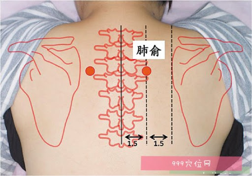  Người có 3 bộ phận này càng sạch thì càng sống thọ: Nếu bạn chưa có thì nên phấn đấu  - Ảnh 3.