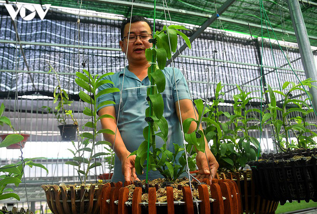  Phất lên nhanh chóng nhờ trồng loài hoa vương giả  - Ảnh 4.