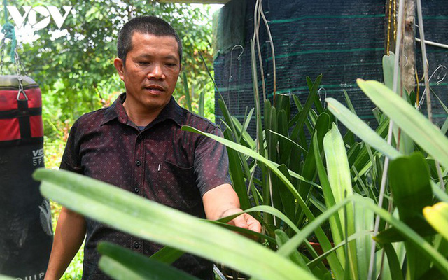  Phất lên nhanh chóng nhờ trồng loài hoa vương giả  - Ảnh 7.