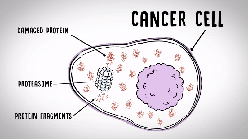 Các nhà khoa học tổng hợp được một hợp chất làm nổ tung tế bào ung thư - Ảnh 2.