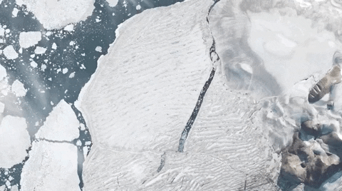 Hình ảnh vệ tinh cho thấy những ngày cuối cùng của thềm băng duy nhất còn sót lại ở Canada trước khi biến mất - Ảnh 1.