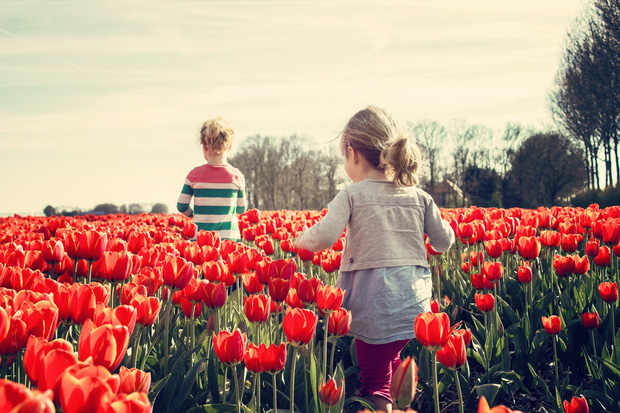 Hà Lan không như tưởng tượng: Những điều không thể giải thích tại Xứ sở hoa Tulip, theo tâm sự của người nước ngoài đến sinh sống lâu năm - Ảnh 1.