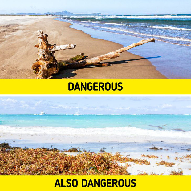  7 mối nguy kinh khủng nhất có khả năng khiến chúng ta phải bỏ mạng khi đi tắm biển, và cách để đảm bảo an toàn cho bạn  - Ảnh 2.