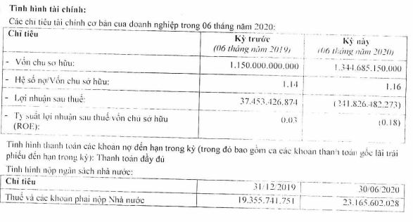 Thiên Minh Group lỗ ròng 242 tỷ sau 6 tháng, liệu tân binh hàng không KiteAir có tiếp tục lỡ chuyến? - Ảnh 1.