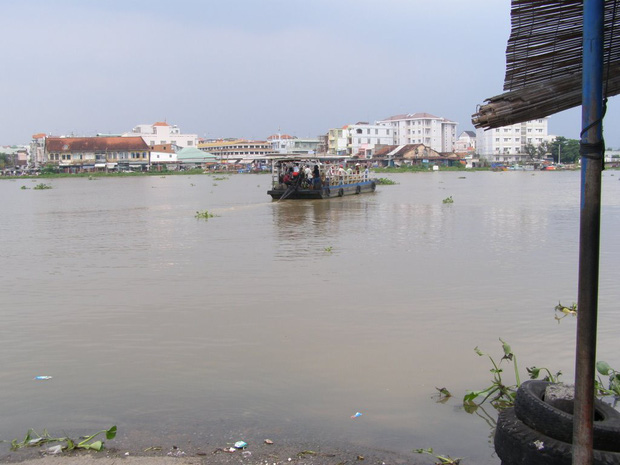 TP.HCM: Cảnh báo cá sấu xuất hiện trên sông Sài Gòn - Ảnh 1.