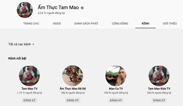 NTN và Tam Mao: 2 thế lực YouTube bất chấp gạch đá để kiếm tiền tỷ, sắm Mẹc, xây nhà to nhất vùng - Ảnh 4.