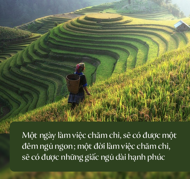  Cha lâm chung mới nói mình giấu 1 hũ vàng trong cánh đồng, 3 người con ra sức tìm kiếm và thu được kết quả không ngờ tới - Ảnh 2.