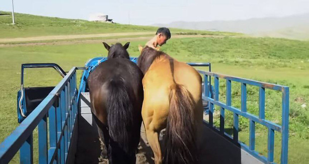  Chuyến hành trình cô độc băng qua Mông Cổ trên lưng ngựa của một cô gái: Thưởng thức cảnh tượng hùng vĩ và luôn đối mặt nguy hiểm rình rập - Ảnh 3.