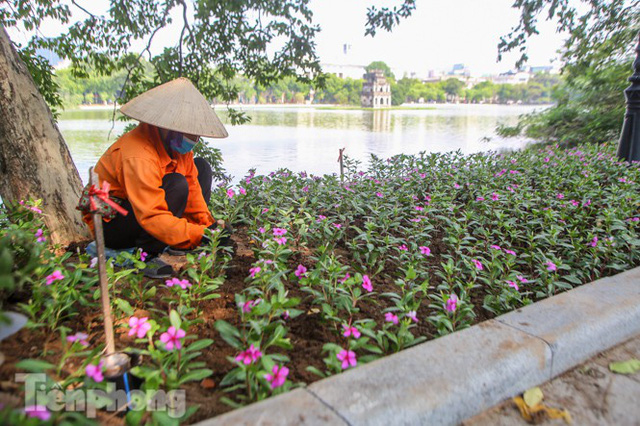  Vỉa hè hồ Hoàn Kiếm tăng tốc lát đá, chỉnh trang vườn hoa  - Ảnh 11.