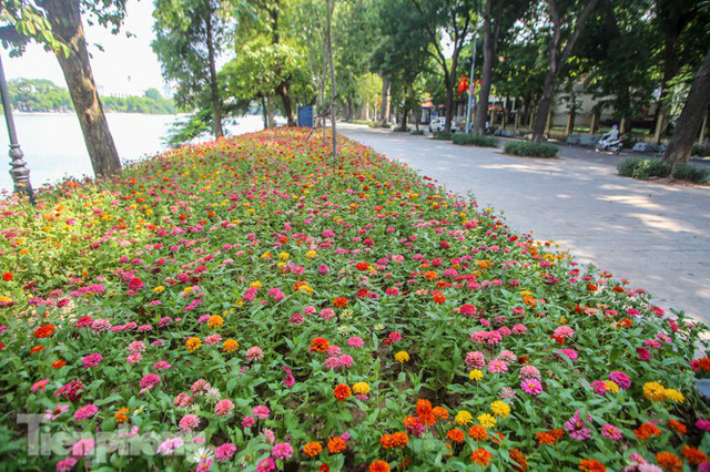  Vỉa hè hồ Hoàn Kiếm tăng tốc lát đá, chỉnh trang vườn hoa  - Ảnh 13.