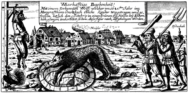  Những vụ săn lùng người sói tàn bạo và khủng khiếp từng diễn ra ở châu Âu thời xưa - Ảnh 4.