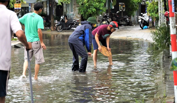  Clip: Người Đà Nẵng thích thú mang rổ ra đường phố bắt cá sau bão số 5 - Ảnh 2.