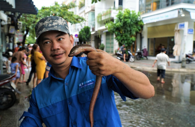  Clip: Người Đà Nẵng thích thú mang rổ ra đường phố bắt cá sau bão số 5 - Ảnh 5.